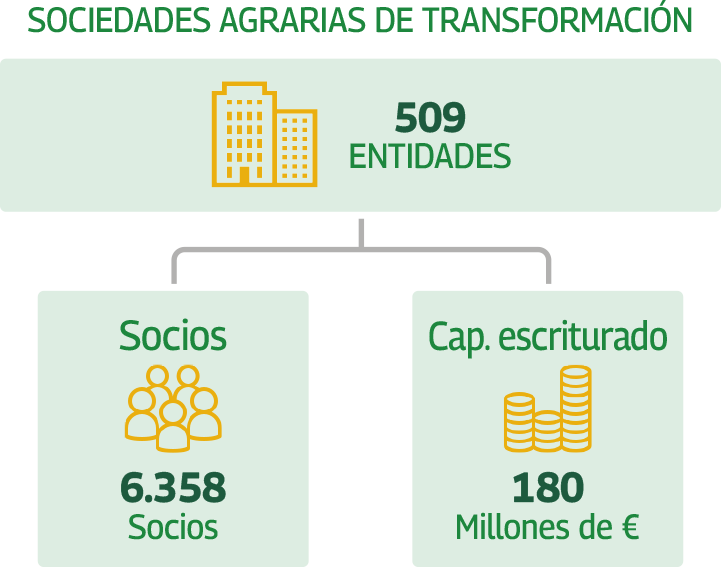 Datos Sociedades Agrarias de Transformación